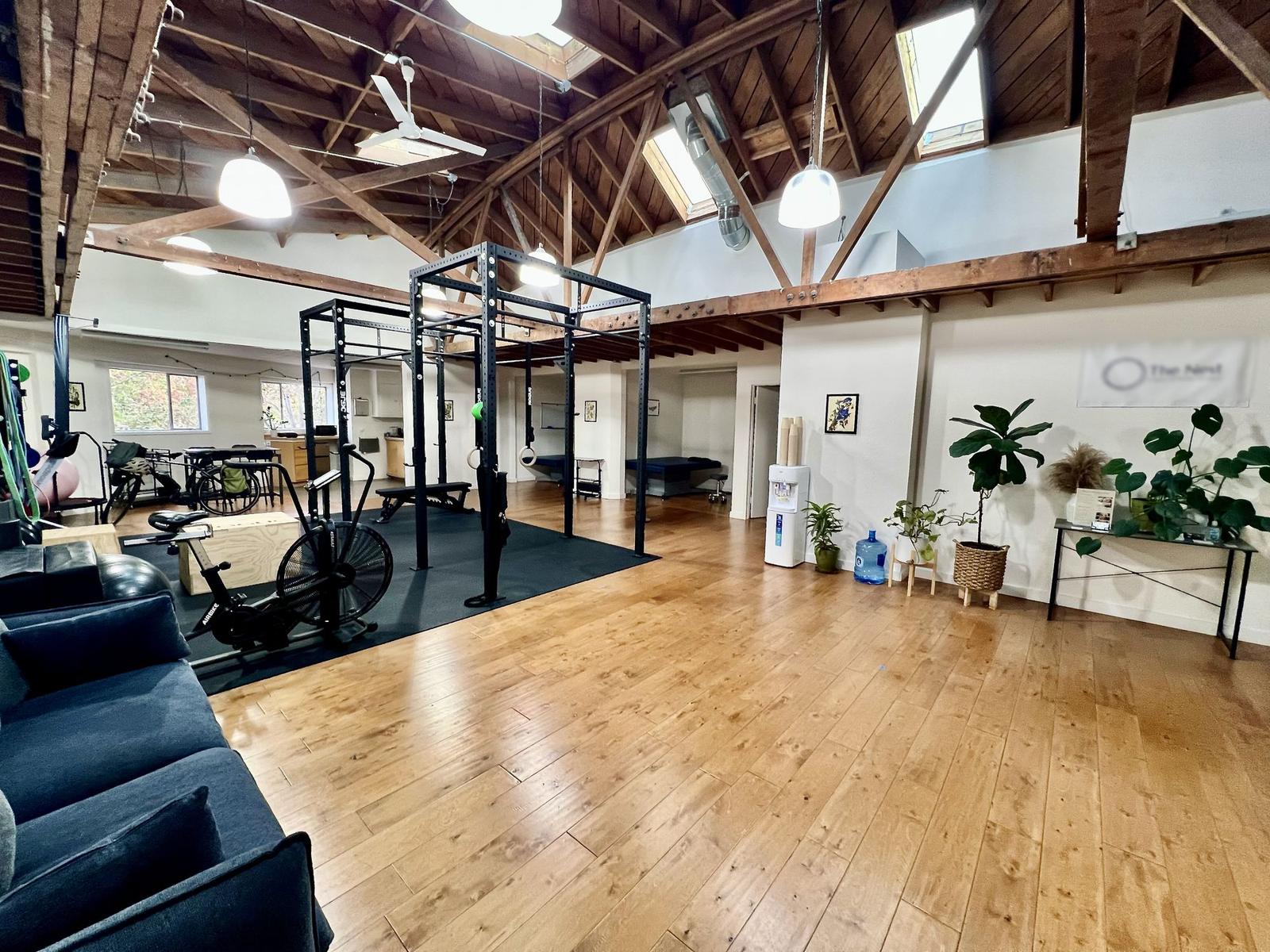 Inside the clinic: an open, sunlit room with wood beams and skylights, a squat rack, treatment tables, and plants along the wall